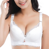 Volledige Dekking Push-Up Kant BH